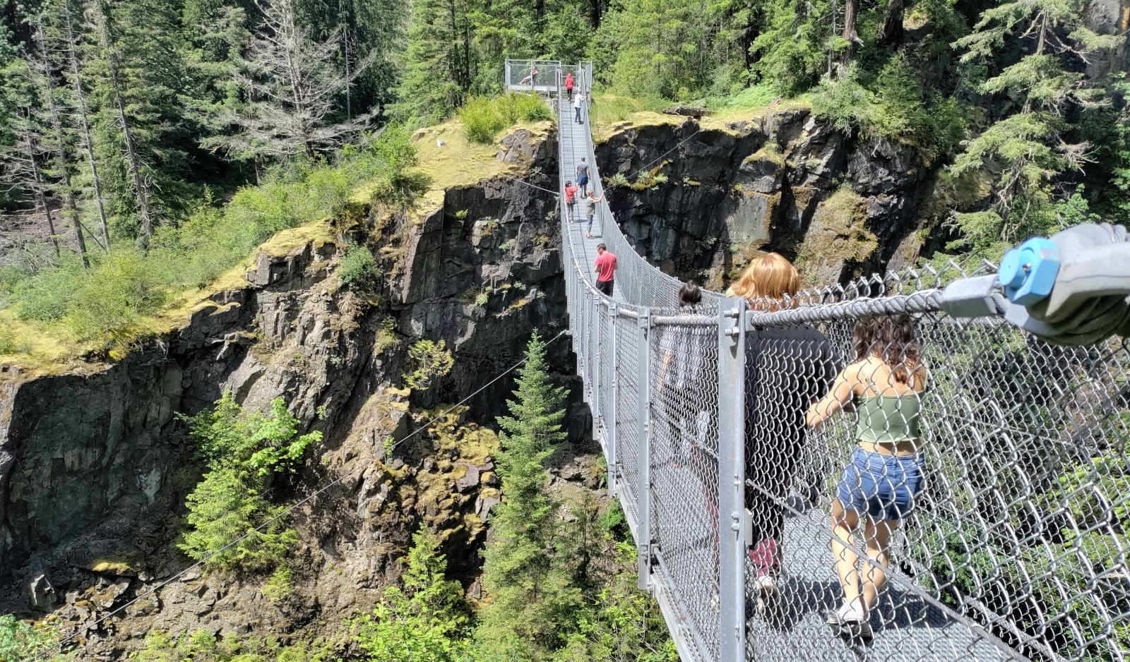 Elk Falls Suspension Bridge