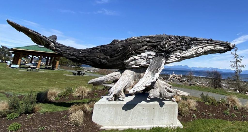 Humpback Whale Driftwood Sculpture by Alex Witcombe