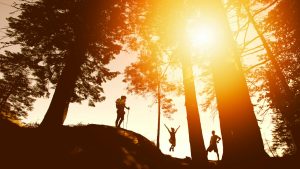 silhouette photo of three person near tall trees