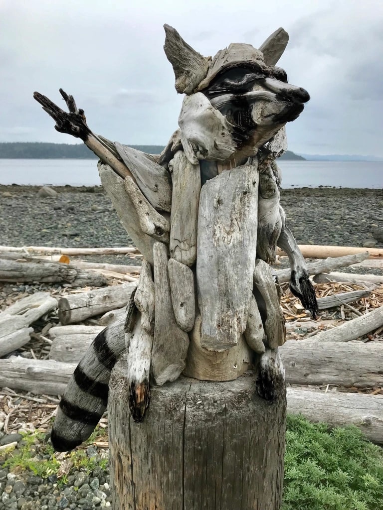 Peabody the Raccoon