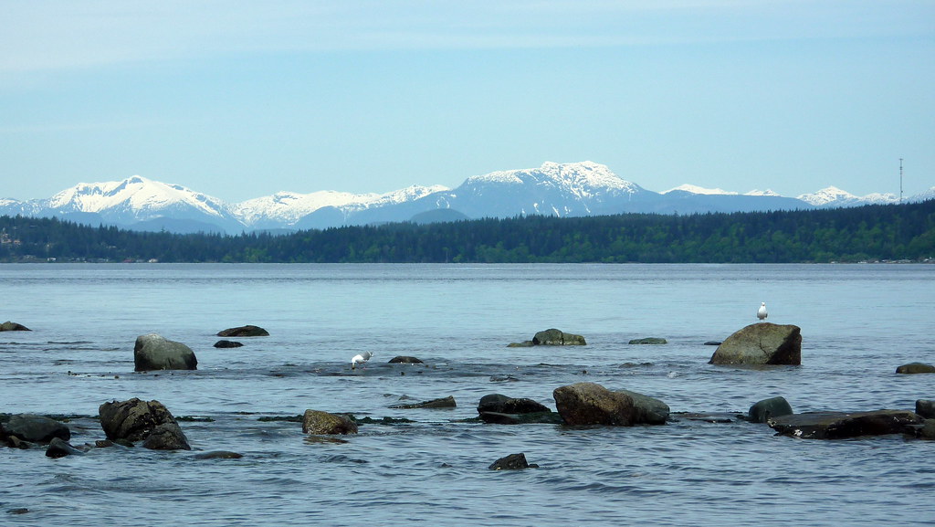 view of willow point reef from jaycee park