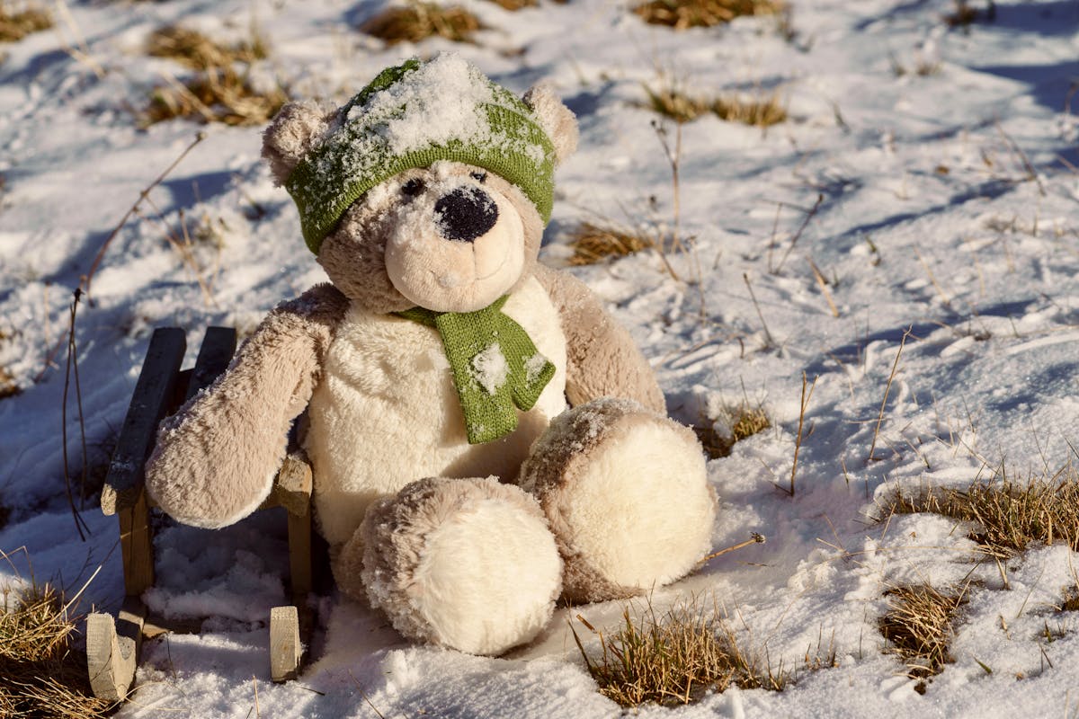 A teddy bear wearing a green hat and scarf sits on a sled in the snowy outdoors.