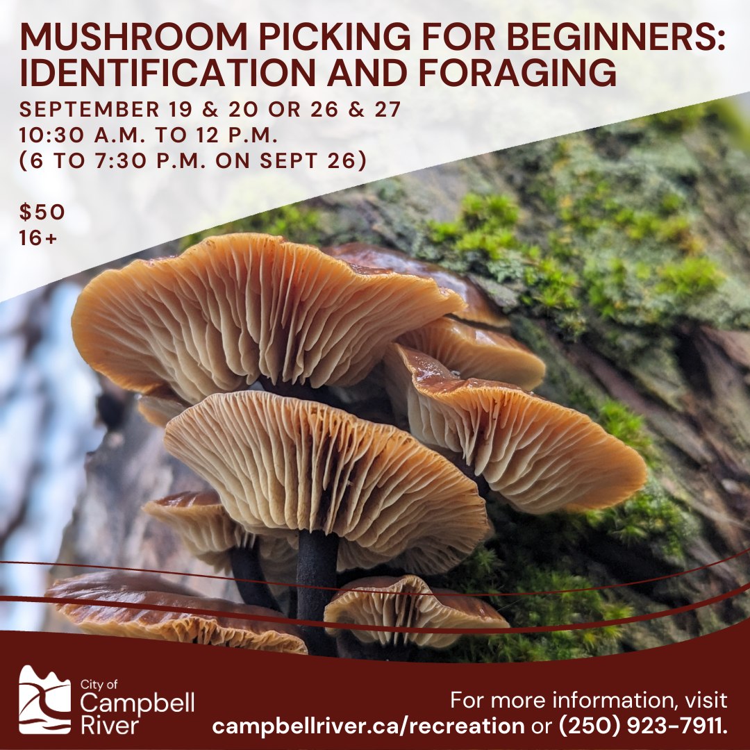 mushroom-class-cr